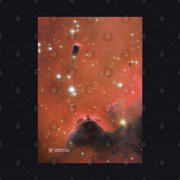 Westerhout 5 nebula — space poster by Synthwave1950